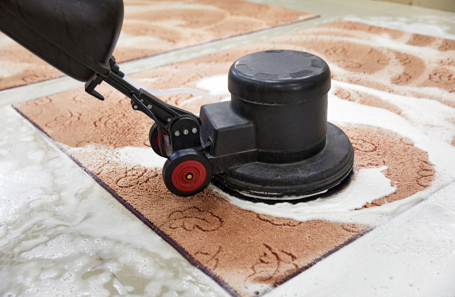 Limpiezas técnicas y específicas limpieza alfombra